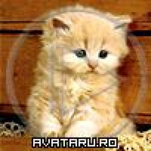 cat01404 - avatare