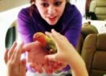 03c0732c89b2159c - miley cyrus