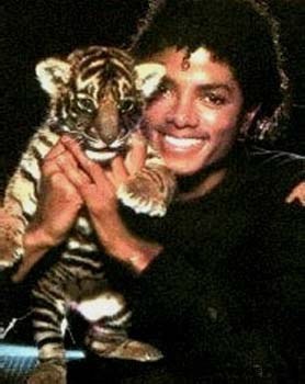 K un pui de tigru - Poze Michael Jackson k animale