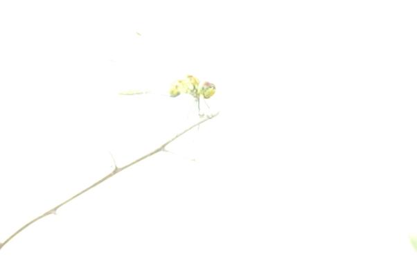 P7140163