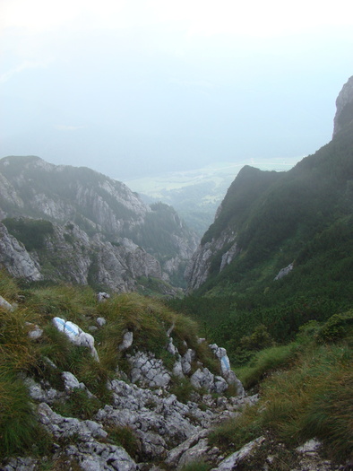 DSC04061 - Piatra Craiului August 2009 Valea Crapaturii