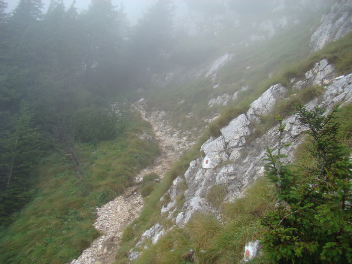 DSC04057 - Piatra Craiului August 2009 Valea Crapaturii