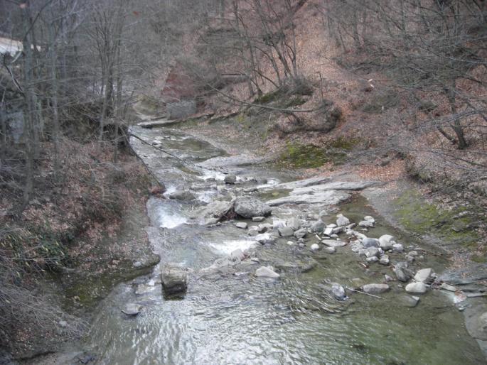 DSCN3051 - 2008 OLANESTI MARTIE