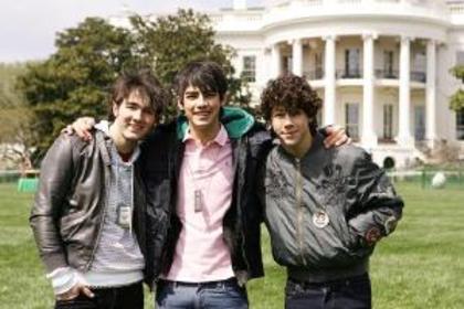 xcvbnbvcxzxcvb - Jonas Brothers