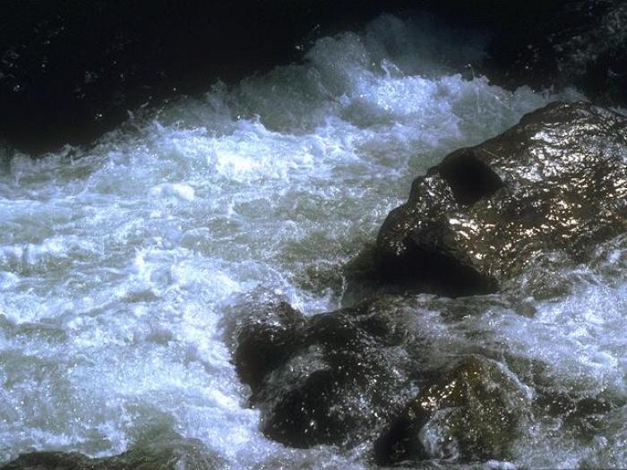 AI.I92016451-02 - Peisaje