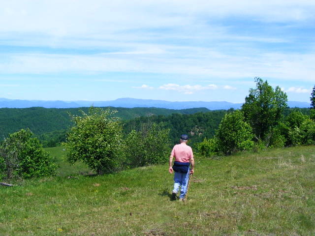 DSCF0547