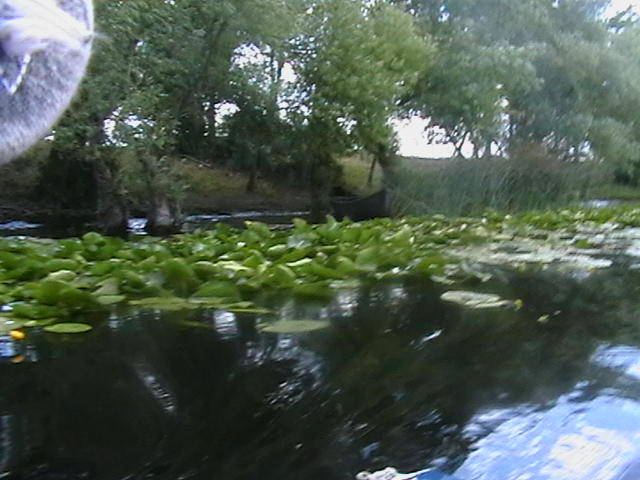 IMGA0987 - In Delta Dunarii- Mila 23-iunie 2009