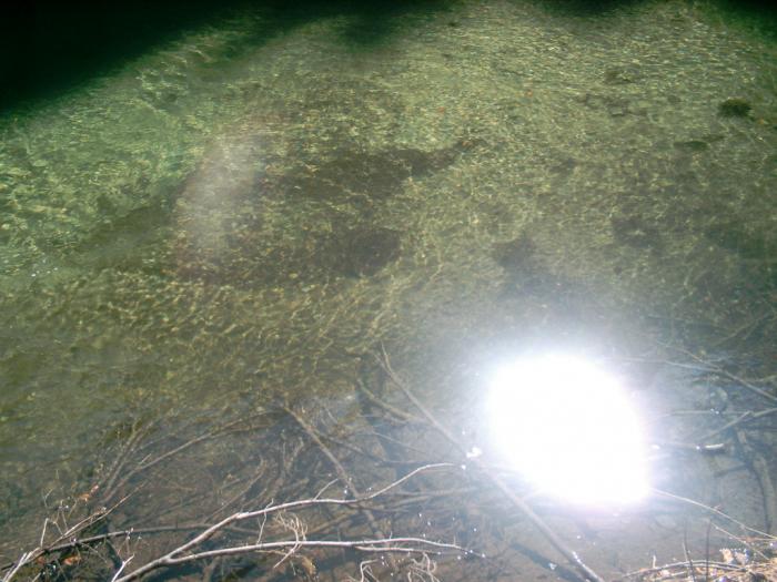 04130136 - Iezer-Papusa