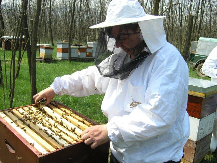 P4071959 - Carnica Banatica