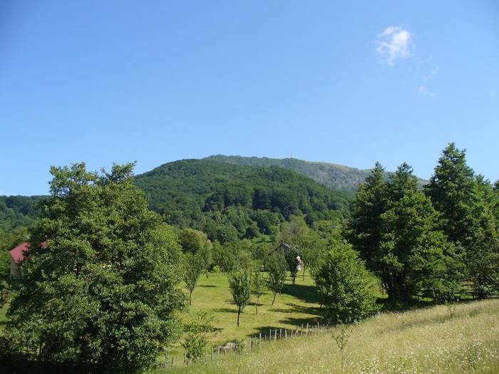P1000358 - varful Ignis Maramures