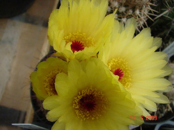DSC05906