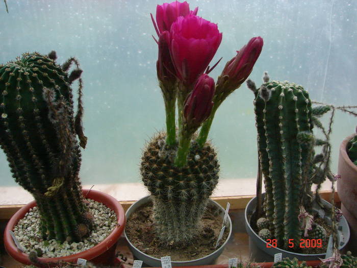 DSC05876