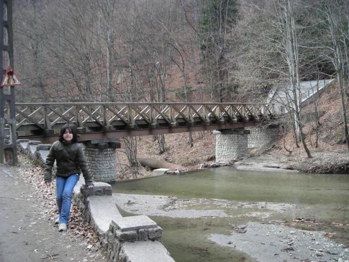 DSCN3046 - 2008 OLANESTI MARTIE