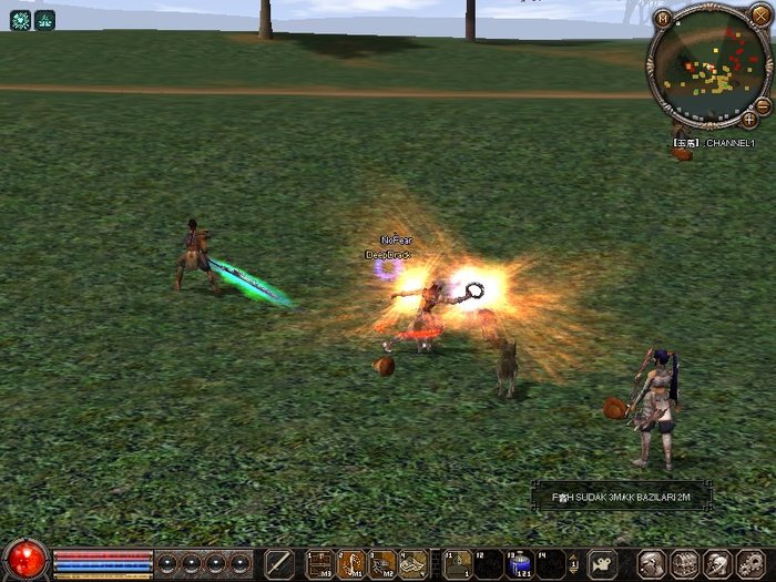 1205_204454 - metin 35 pserver poze noi