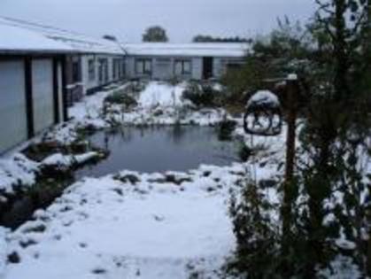 NVNIIPSDAAMTRTWDMBH - MODELE DE CRESCATORII