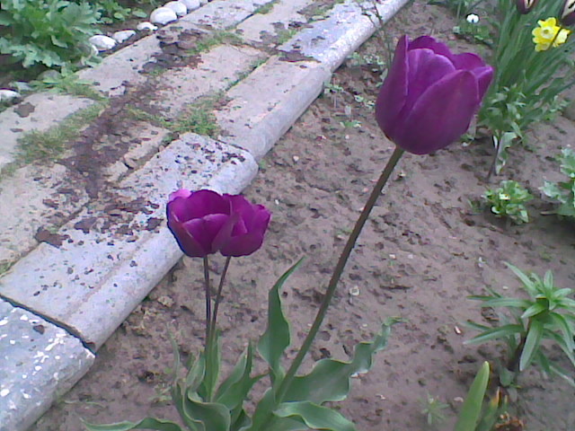 Imag052
