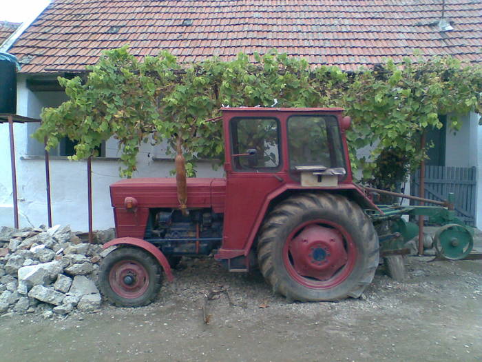 Imag115 - tractor de vanzare