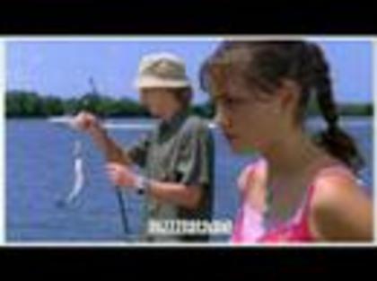 ai213559n689986 - h2o