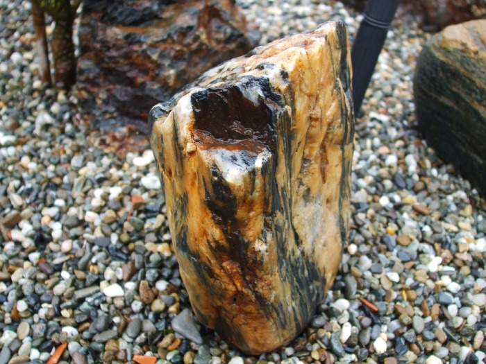 Picture 217 - Amazing rock