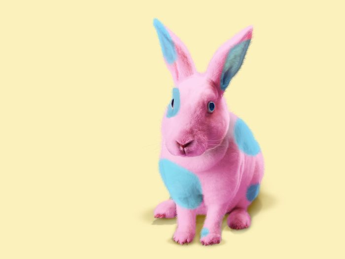 Off-Color Easter Bunny - Wallpapers Premium
