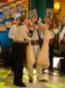 DSC04694