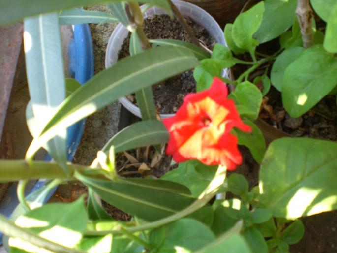 aug 2008 043