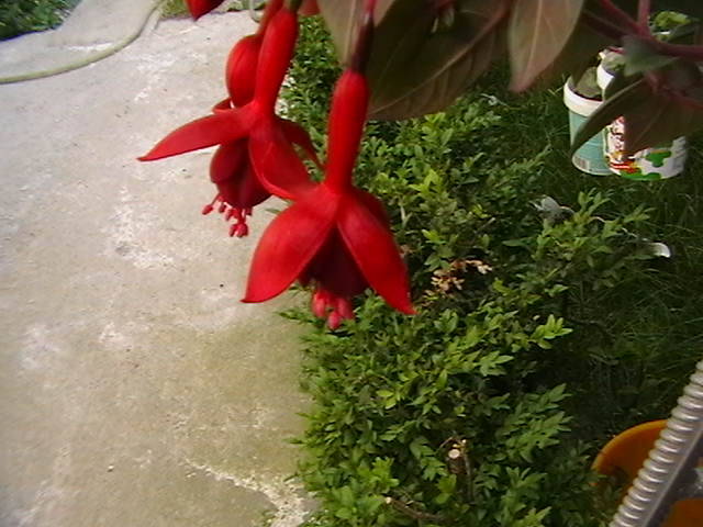 Picture 023