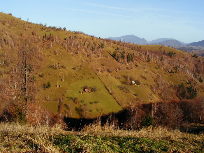 DSCF5915 - Piatra Craiului Bucegi satul Pestera