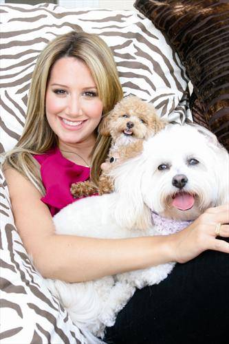 002 Ashley-tisdale-caini 30.1.2009 - high school musical toate pozele