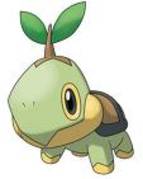 o98o0 - turtwig