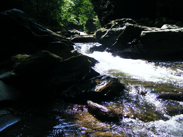 DSCF5246