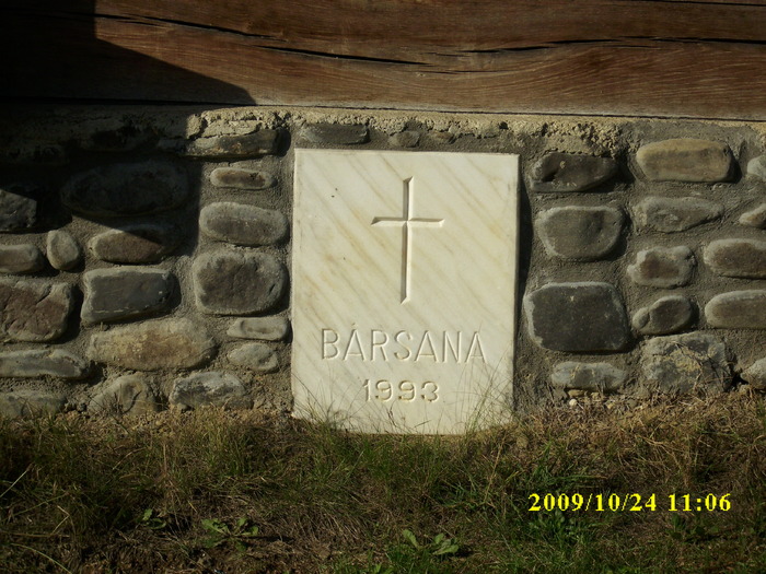 IMG_1616 - Manastirea Barsana - Maramures