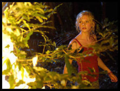 5080890404a6321792440l - TOATE POZELE MELE DIN CALCULATOR