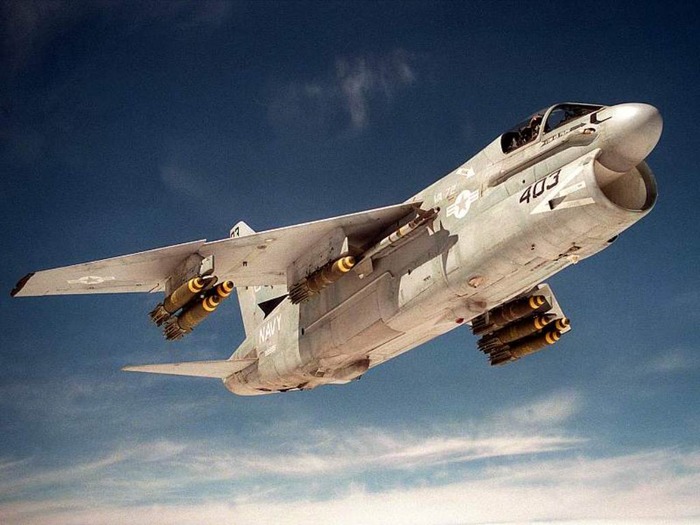 webshots422 - Animale