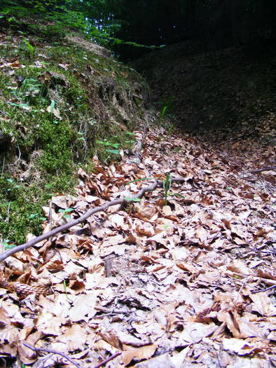 DSCF1038