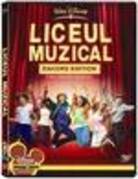 liceul muzical - hanna montana and high scool musical