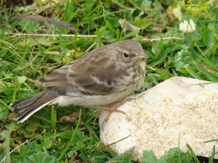 DSC01945 - Concediu 2008