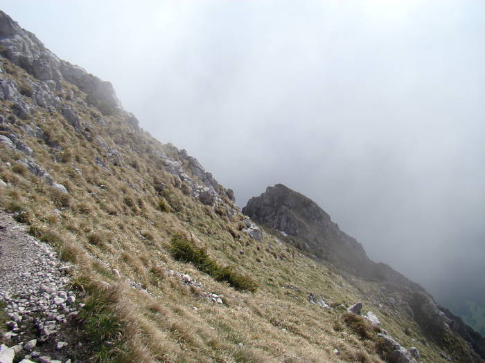 DSC03228 - Piatra Craiului MAI
