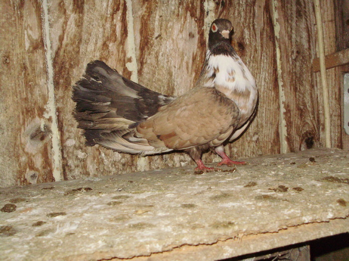 P9061587