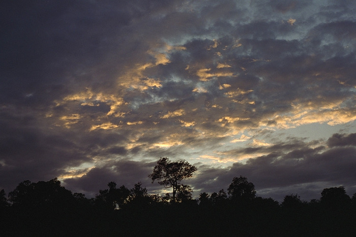 Dusk - 0-Rasarituri_apusuri