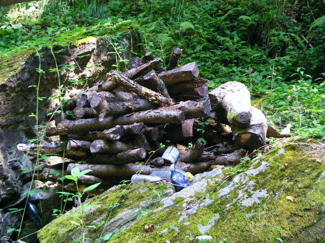 DSCF5266
