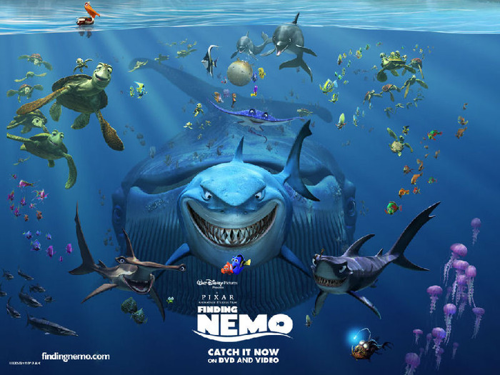 finding_nemo_006_800[1]