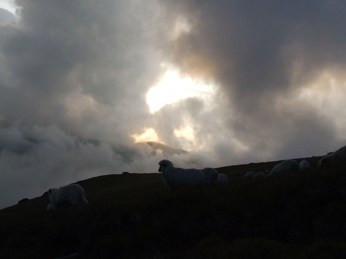 2009_08190579; Romania
