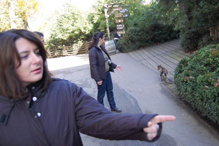 DSC_0082 - zoo amneville