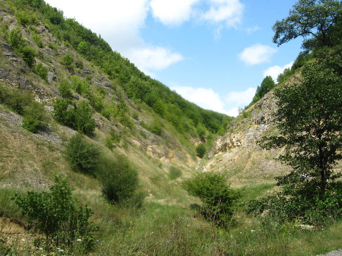 IMG_2349 - prin tara Lapusului- Cheile Babei