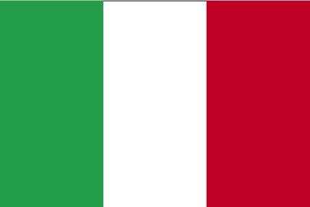 steag_Italia