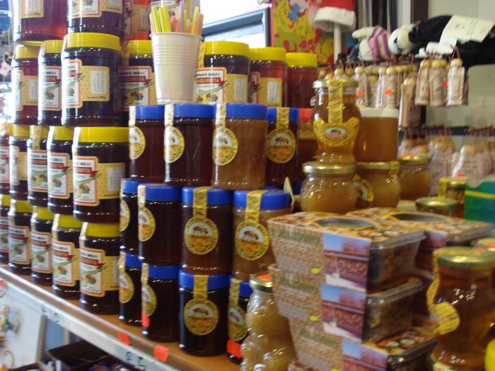 Picture 741; Troodos
