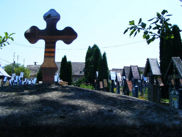 DSCF3600