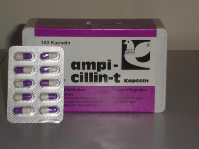 Ampi-Cilin-T pt.inf.cu bacteri gram-negative si gram-pozitive