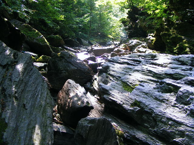 DSCF5252